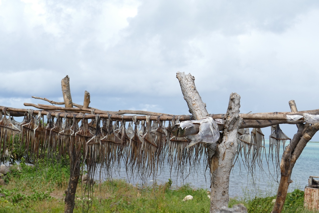 Rodrigues, le Sud & l’Ouest