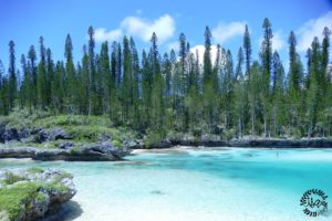 La nouvelle Calédonie, l’île des pins